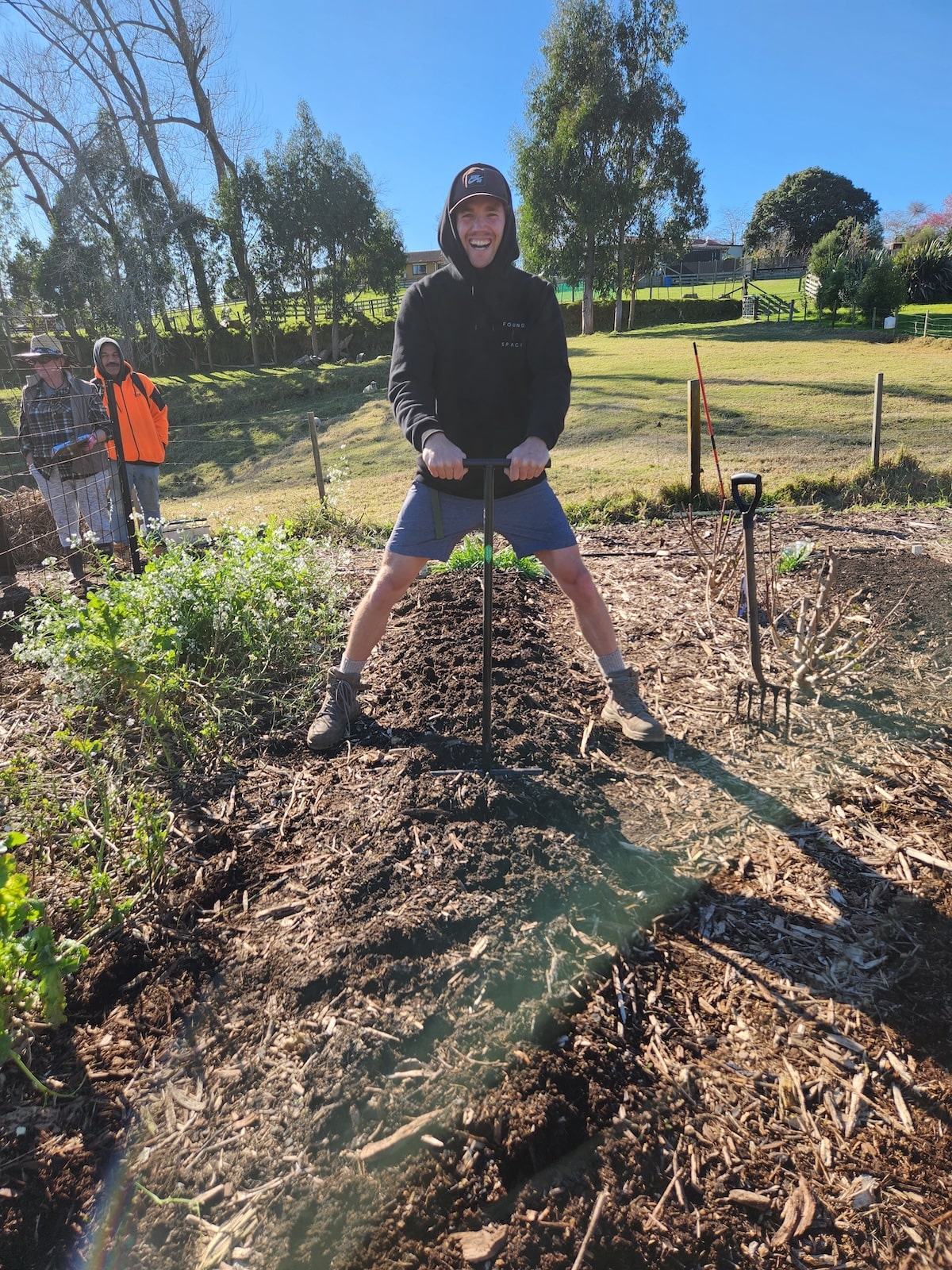 Thriving home garden